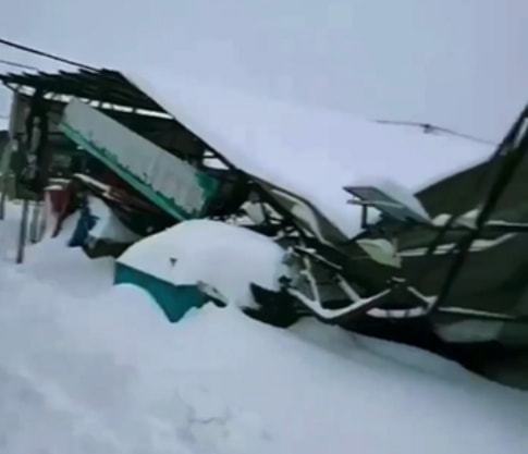 鞍山市大屯镇农贸市场因暴雪发生坍塌 27岁消防员坠楼死死护住女童自己牺牲