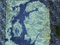 《全面战争：战锤2》木精灵全图占领通关心得 有用资源特殊建筑分享